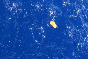 В Средиземном море нашли спасательные жилеты с потерпевшего крушение счамолета