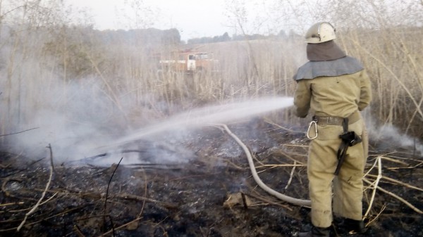 Спасатели ликвидировали возгорания в нескольких населенных пунктах Киевской области