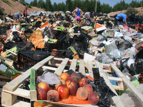 Но местные жители решили их спасти