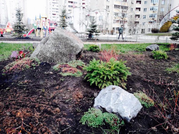 В Киеве воруют елки