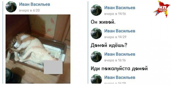 Живодер скинул фото