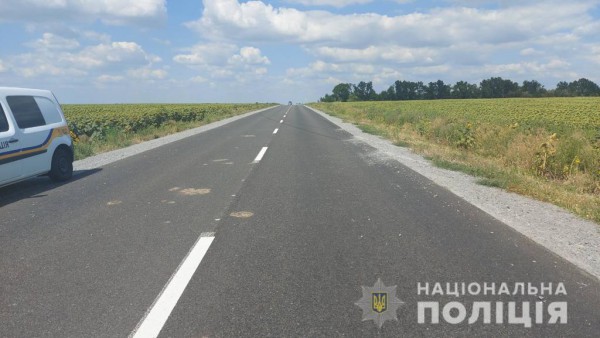 Авто вылетело в поле