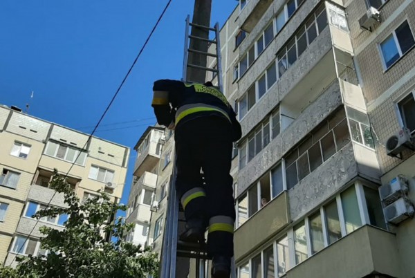 В спасательной операции участвовало четыре человека