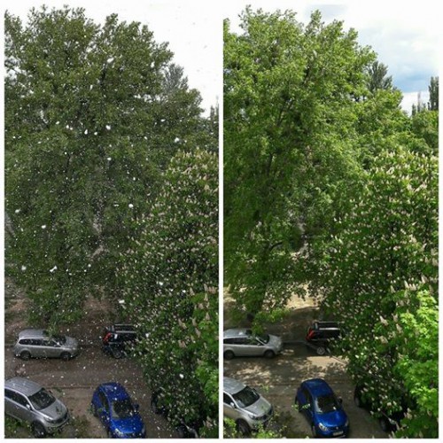Снега было мало и он моментально таял