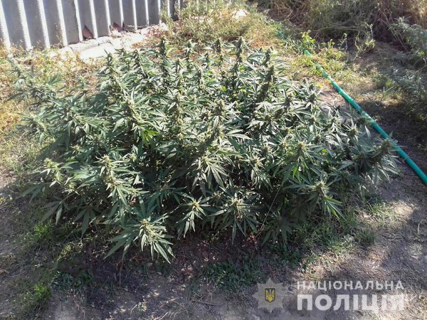 Мужчине придется отвечать по 2 статьям