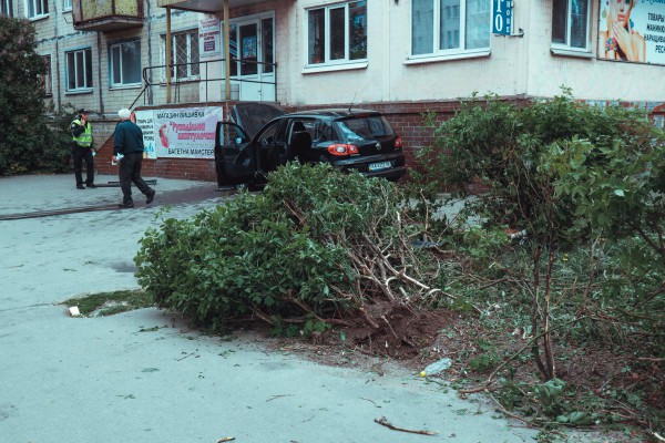 Водитель растерялся и резко свернул вправо