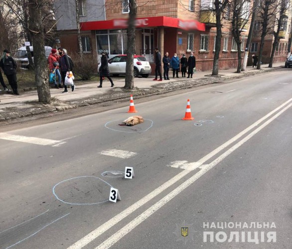 Виновника ДТП разыскивают
