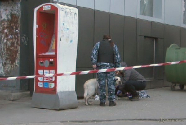 Бомбу унюхала собака