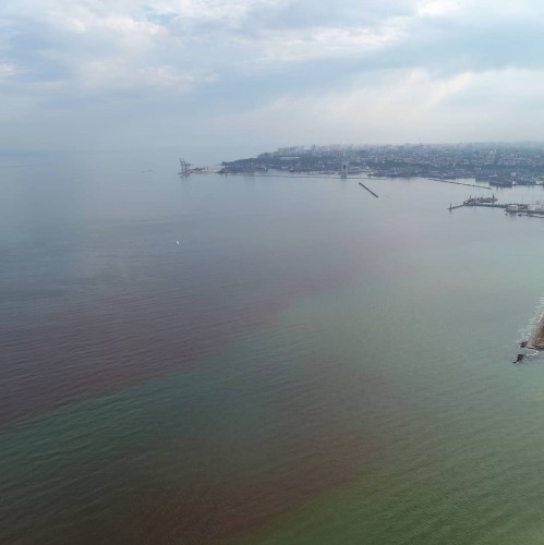 Море внезапно покраснело