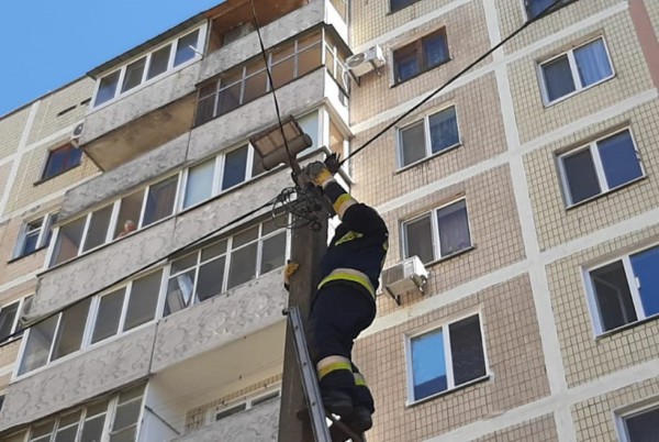 Птица застряла на уровне второго этажа
