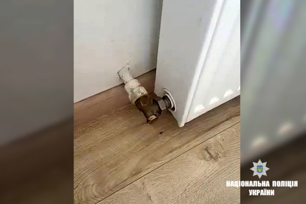 Детей полиция передала бабушке