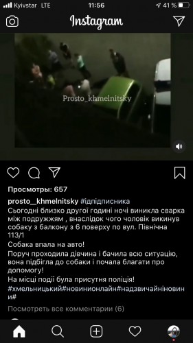 Собака упала на авто во дворе