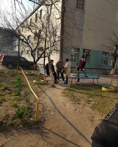 Активисты насчитали 300 трупов пернатых