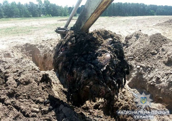 Отходы должны перерабатываться и утилизироваться