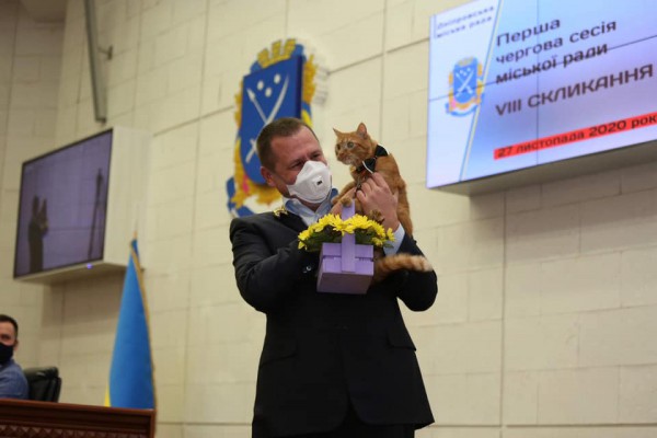 Питомец