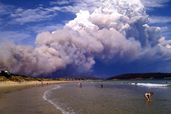 Пожары в Австралии. Катастрофа и безмятежные купающиеся люди. Фото вызвало неоднозначную реакцию в сети