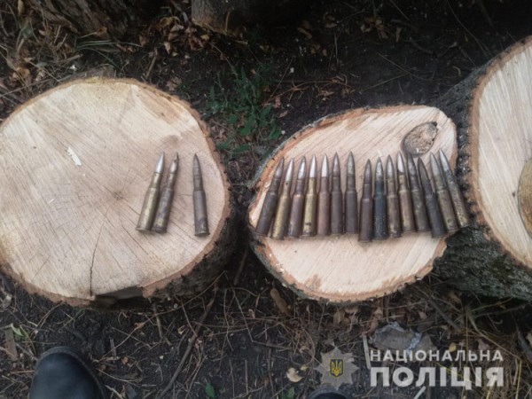 Также в ульях были найдены патроны