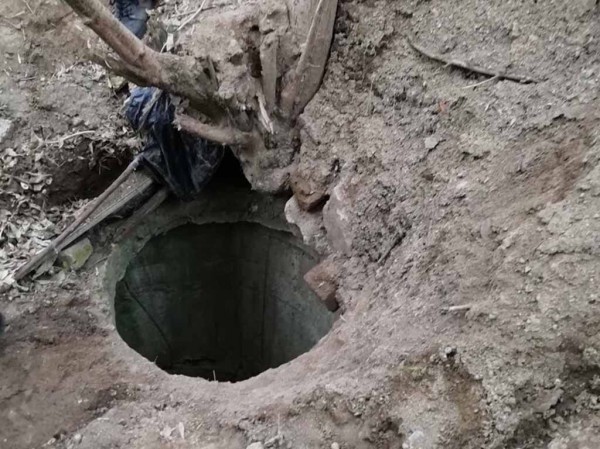5 человек пытались ее достать