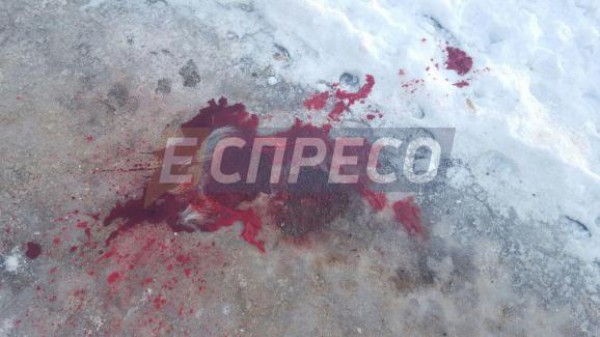 Труп девушки обнаружили в пешеходной зоне