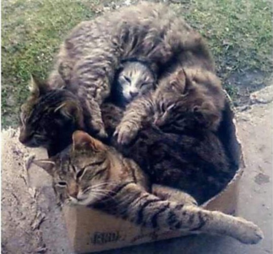 Зображення