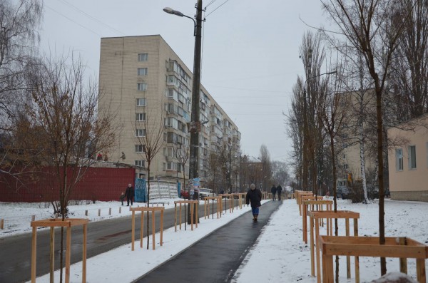 На аллее высадили 82 акации