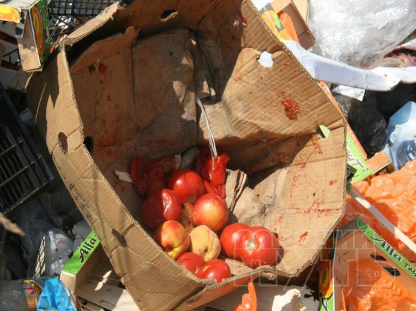 Санкционные продукты привезли на полигон для уничтожения