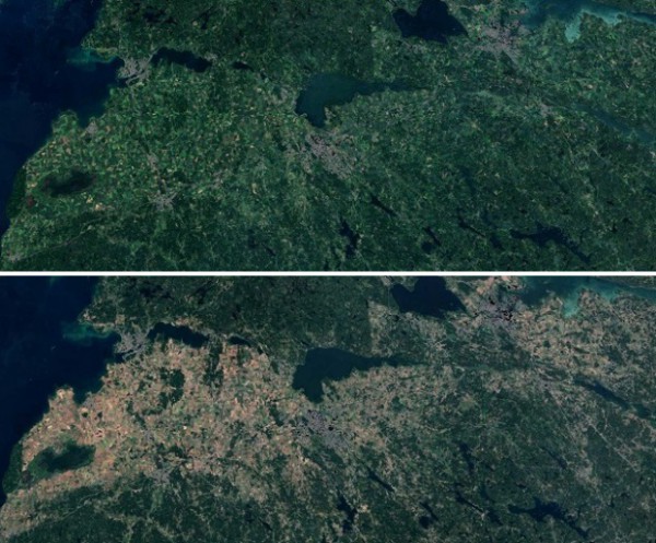 Лен Эстерйотланд в 2017 и 2018 годах