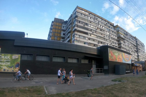 Спасатели выловили змею и вывезли за город