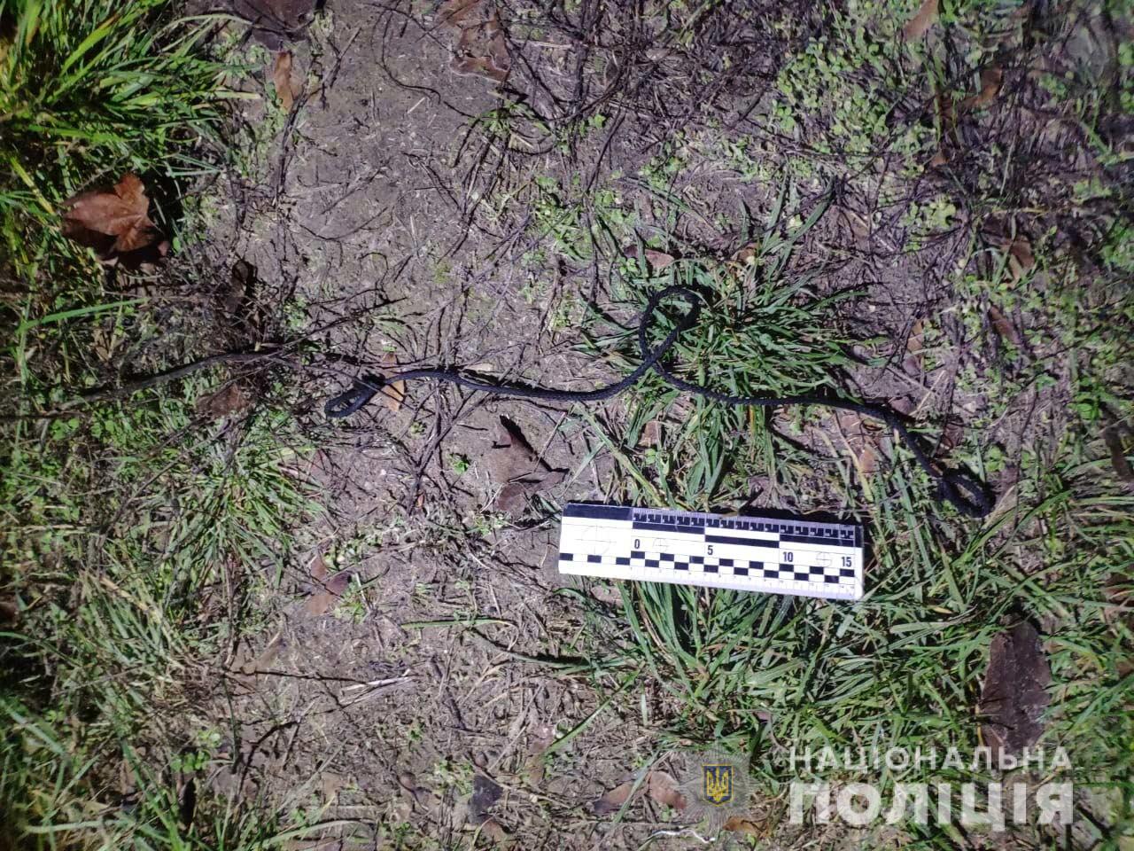 Девушку изнасиловали на