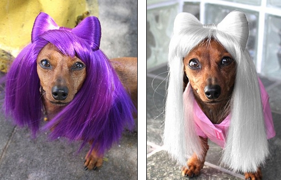 В стиле Lady Gaga