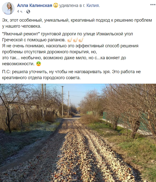 Пост журналистки