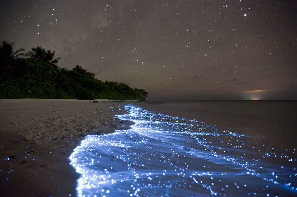 Море Звезд на острове Ваадху, Мальдивы