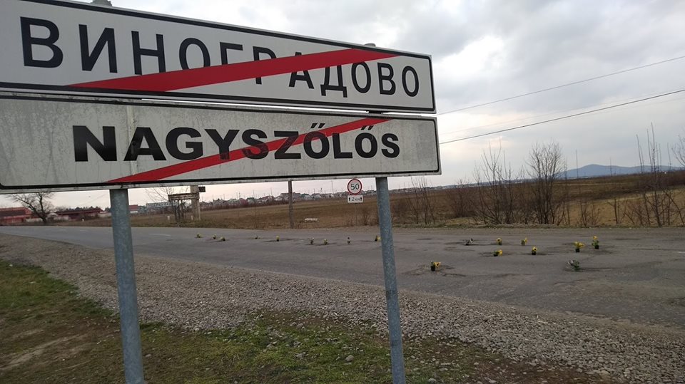 Активисты устроили