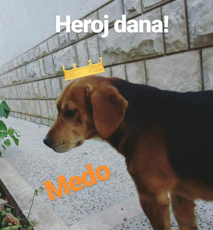 Наверняка теперь Дану кто-нибудь заберет к себе домой
