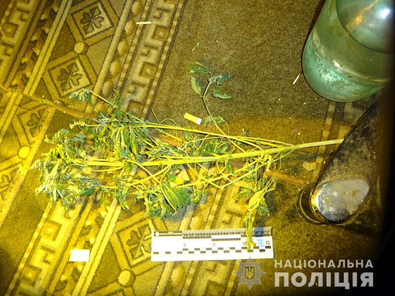 В квартире нашли засушенные растения