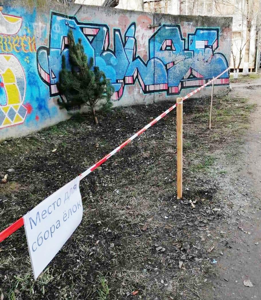 В Одессе ненужные елки можно обменять на конфеты