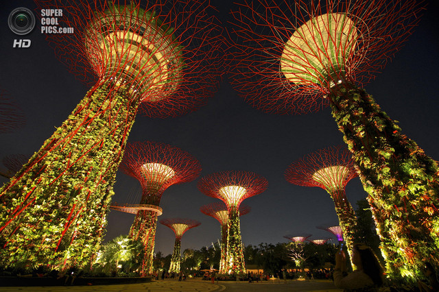 Парк Gardens by the Bay