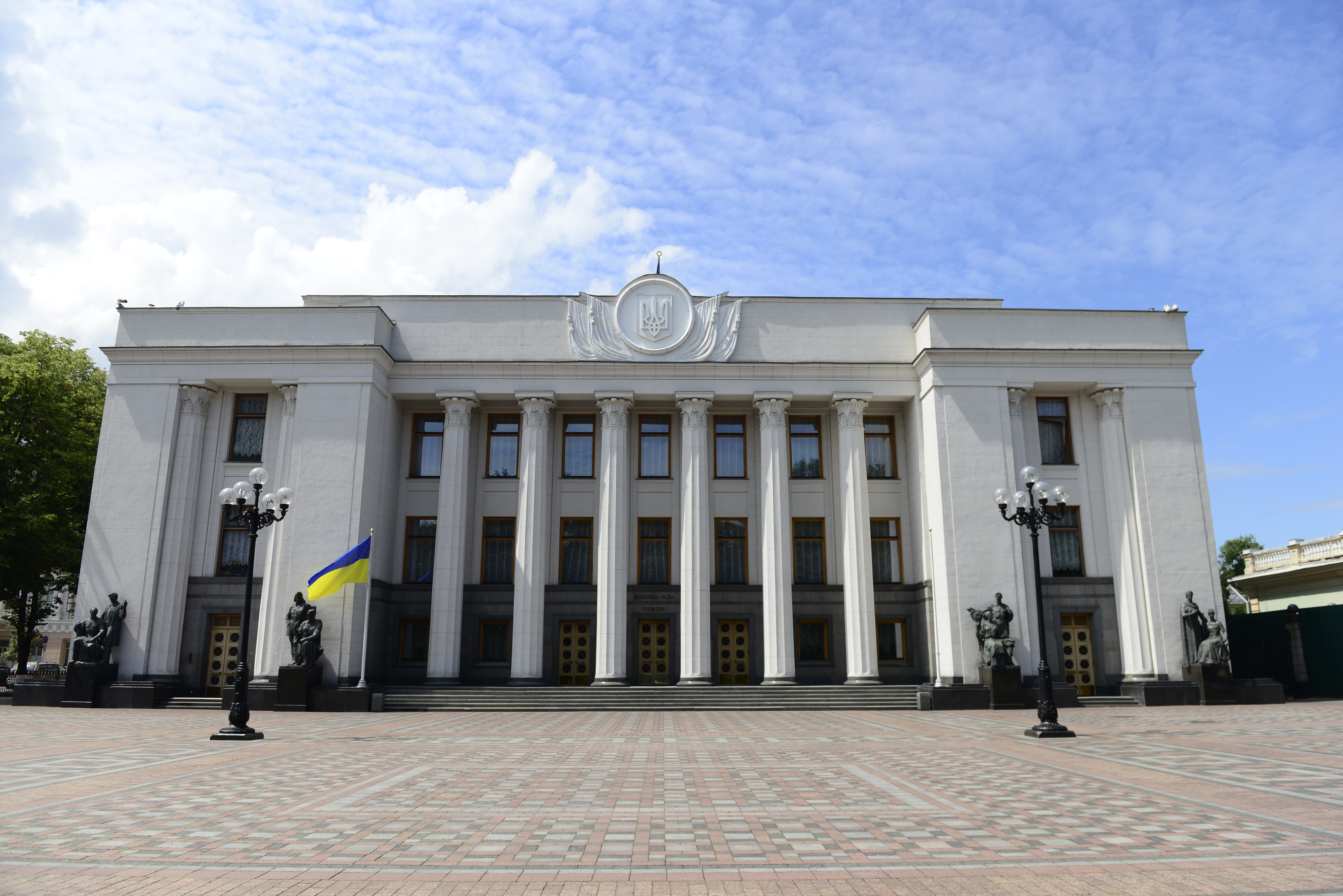 Видео животных новости