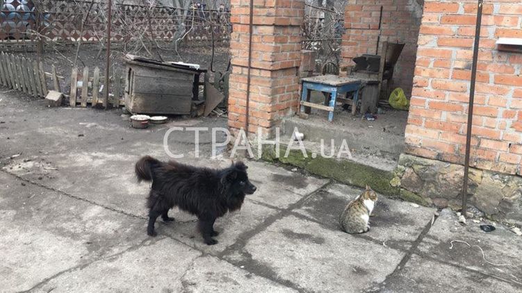 Также у пенсионерки есть кошка
