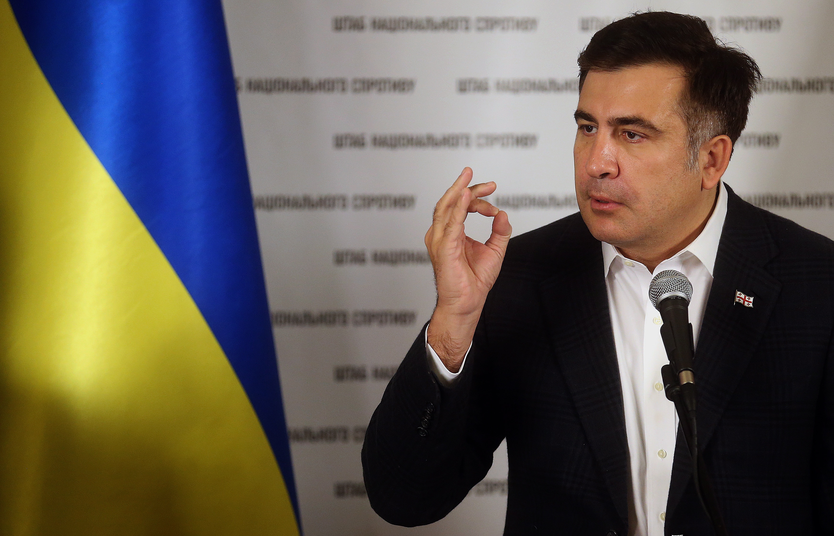Результат пошуку зображень за запитом "саакашвили"