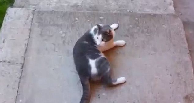 И вот он уже на улице
