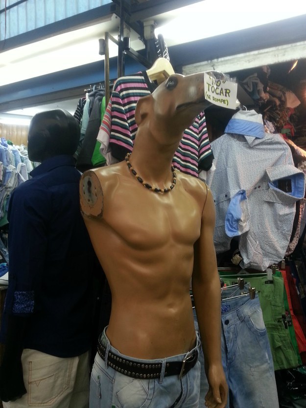 Манекены бывают с головой борзой собаки...