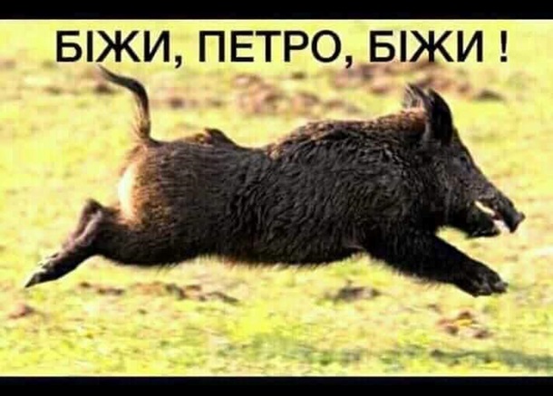 Беги, Петр, беги
