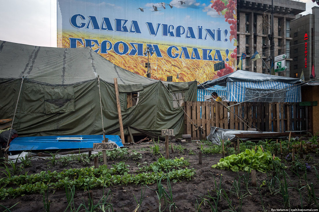 Дом профсоюзов в Киеве закрыли огромным плакатом «Слава Україні! Героям Слава!»