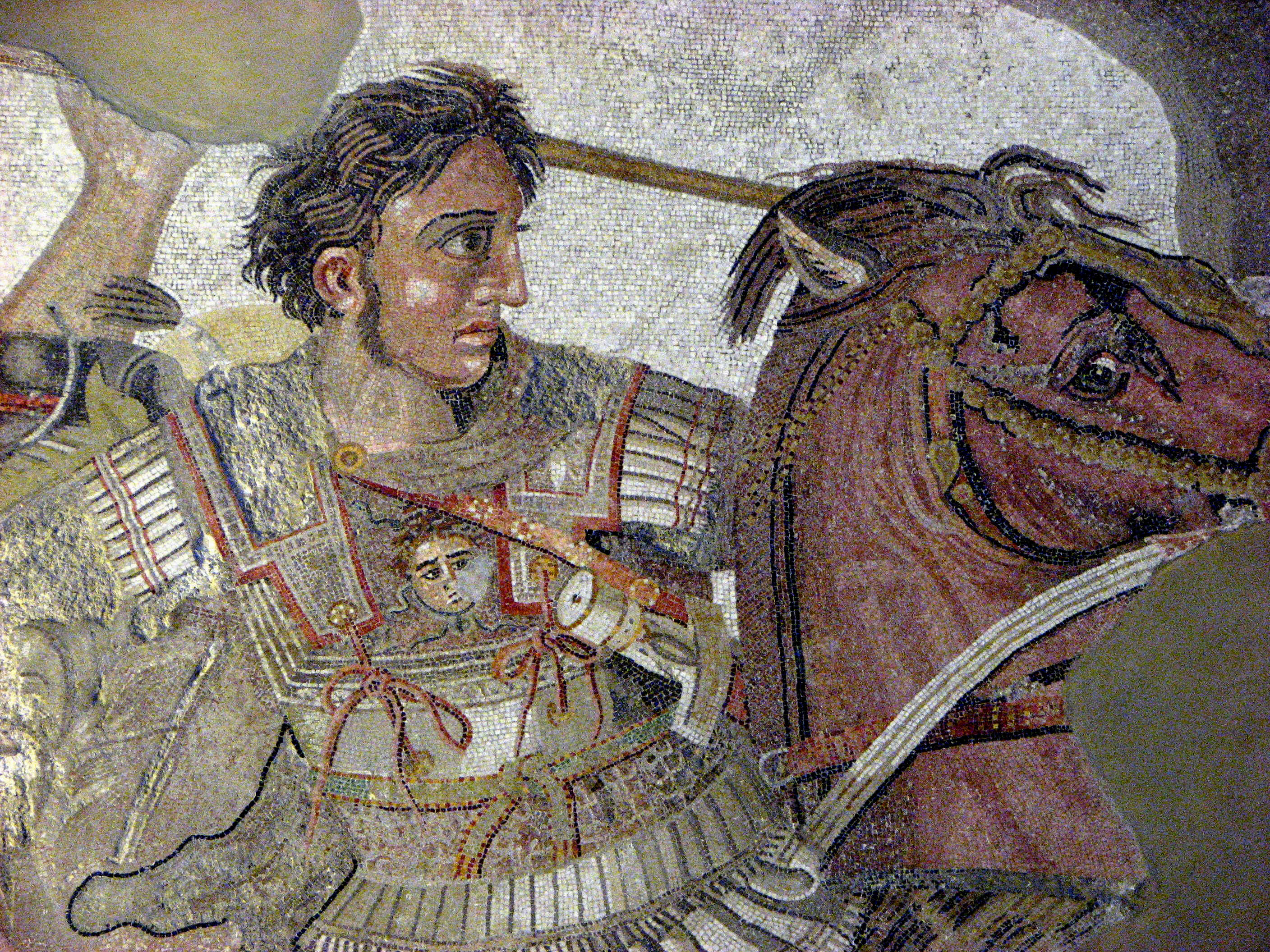 Буцефал, (большегологовый) конь Александра Македонского