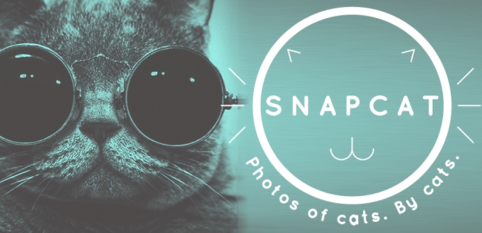 Snapcat - приложение для котиков