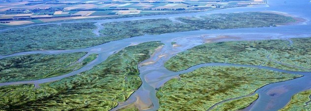 Бывший город Saeftinge сегодня доступен для визита туристов