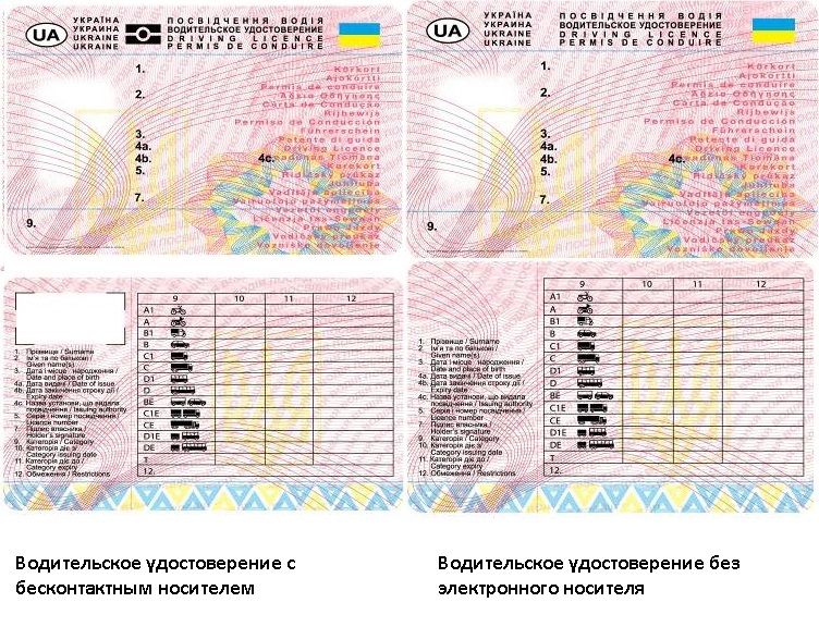 Бланк водительского удостоверения украина скачать