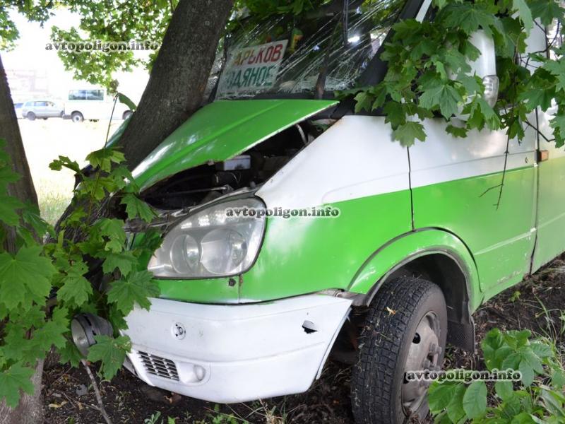 Автобус вылетел в кювет и врезался в дерево