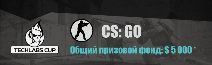TECHLABS CUP UA 2013